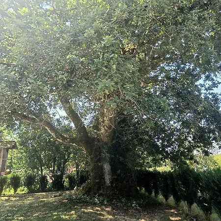 Casa De Loban Дом отдыха *