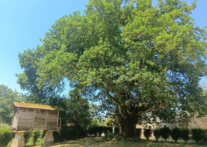 Hébergement de vacances Casa De Loban *