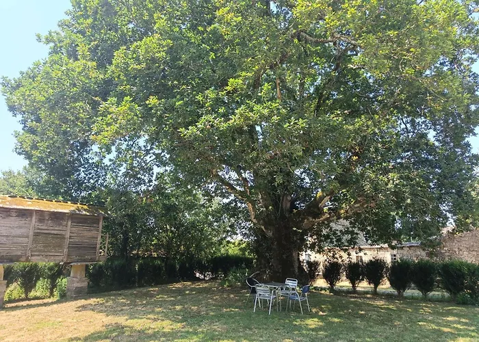 Hébergement de vacances Casa De Loban *