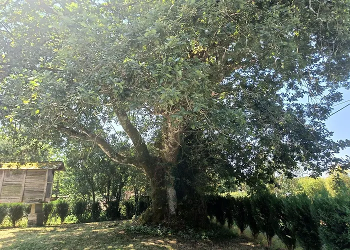 Casa De Loban Hébergement de vacances *